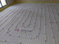 Serpentin habitación